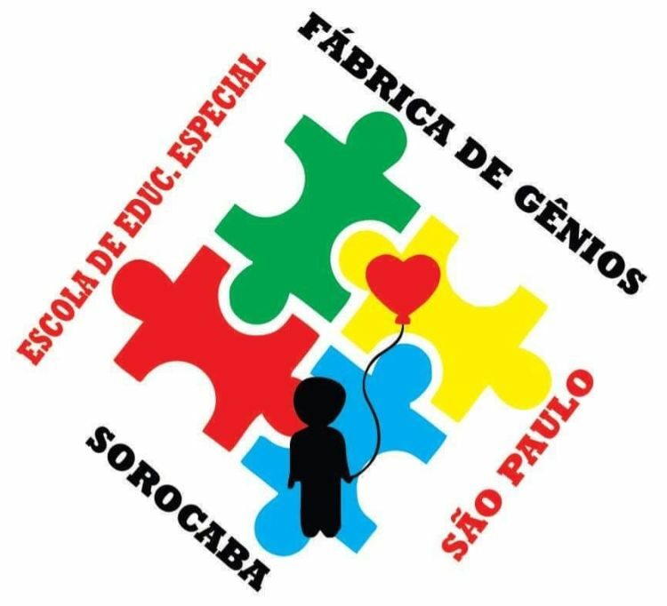 Fabrica de Genios – Organização não governamental (ONG)